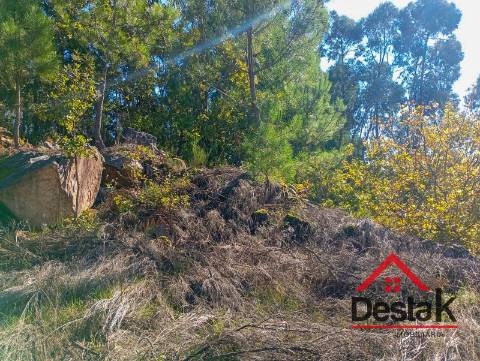 Terreno para construção em Torredeita