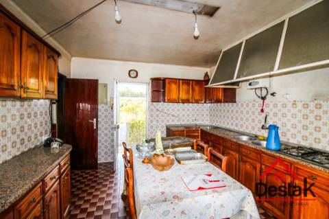 Quinta Encantadora em Parada de Gonta – 11.000 m² de Natureza, Produção e Potencial