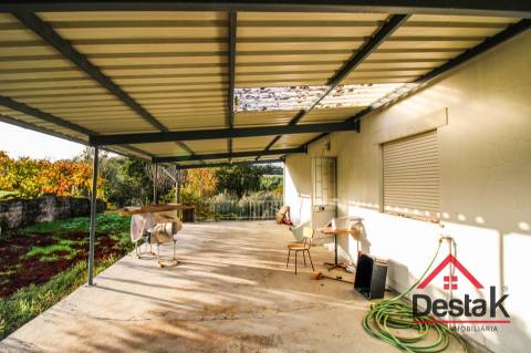 Quinta Encantadora em Parada de Gonta – 11.000 m² de Natureza, Produção e Potencial