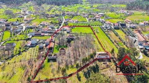 Quinta T6 com 18.000m² de terreno para venda no Sátão