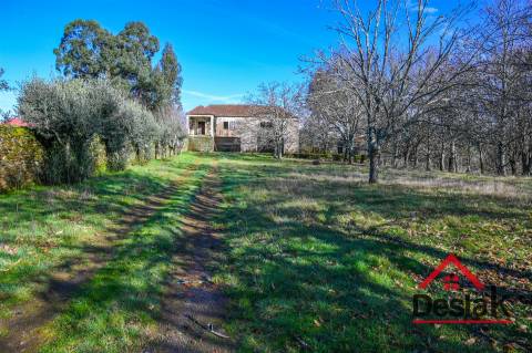 Quinta T6 com 18.000m² de terreno para venda no Sátão