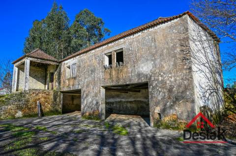 Quinta T6 com 18.000m² de terreno para venda no Sátão