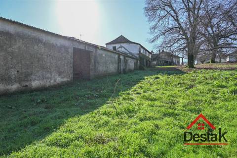 Quinta T6 com 18.000m² de terreno para venda no Sátão