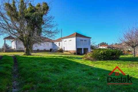 Quinta T6 com 18.000m² de terreno para venda no Sátão