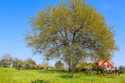 Terreno para construção em Viseu