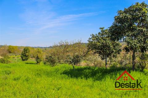 Terreno para construção em Viseu