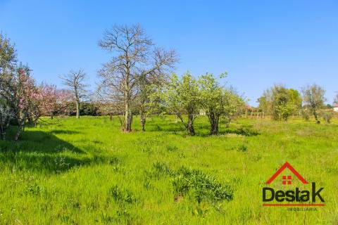 Terreno para construção em Viseu