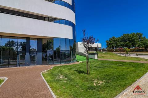 Apartamento T1 Novo Arrendamento em Viseu