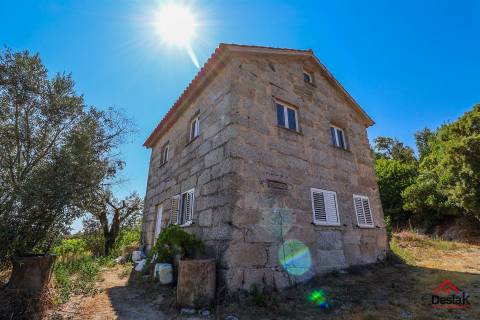 Quinta de Excelência na Região do Dão | Produção, Turismo e Investimento
