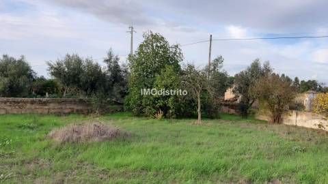 Moradia T7 Venda em Alvega e Concavada,Abrantes