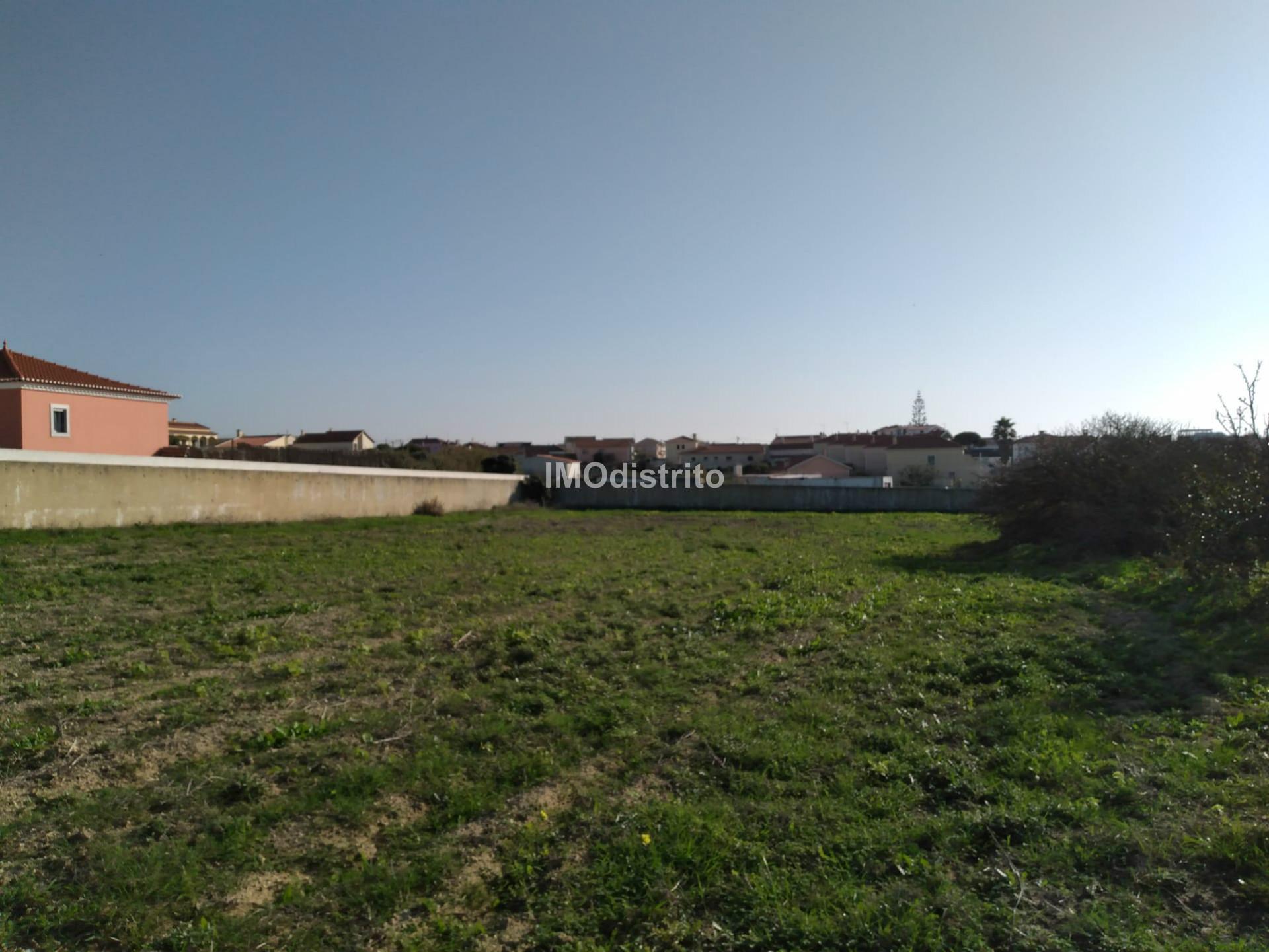 Terreno  Venda em São Pedro da Cadeira,Torres Vedras
