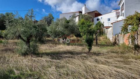 Moradia Rústica T3 Venda em Ribeira de Nisa e Carreiras,Portalegre