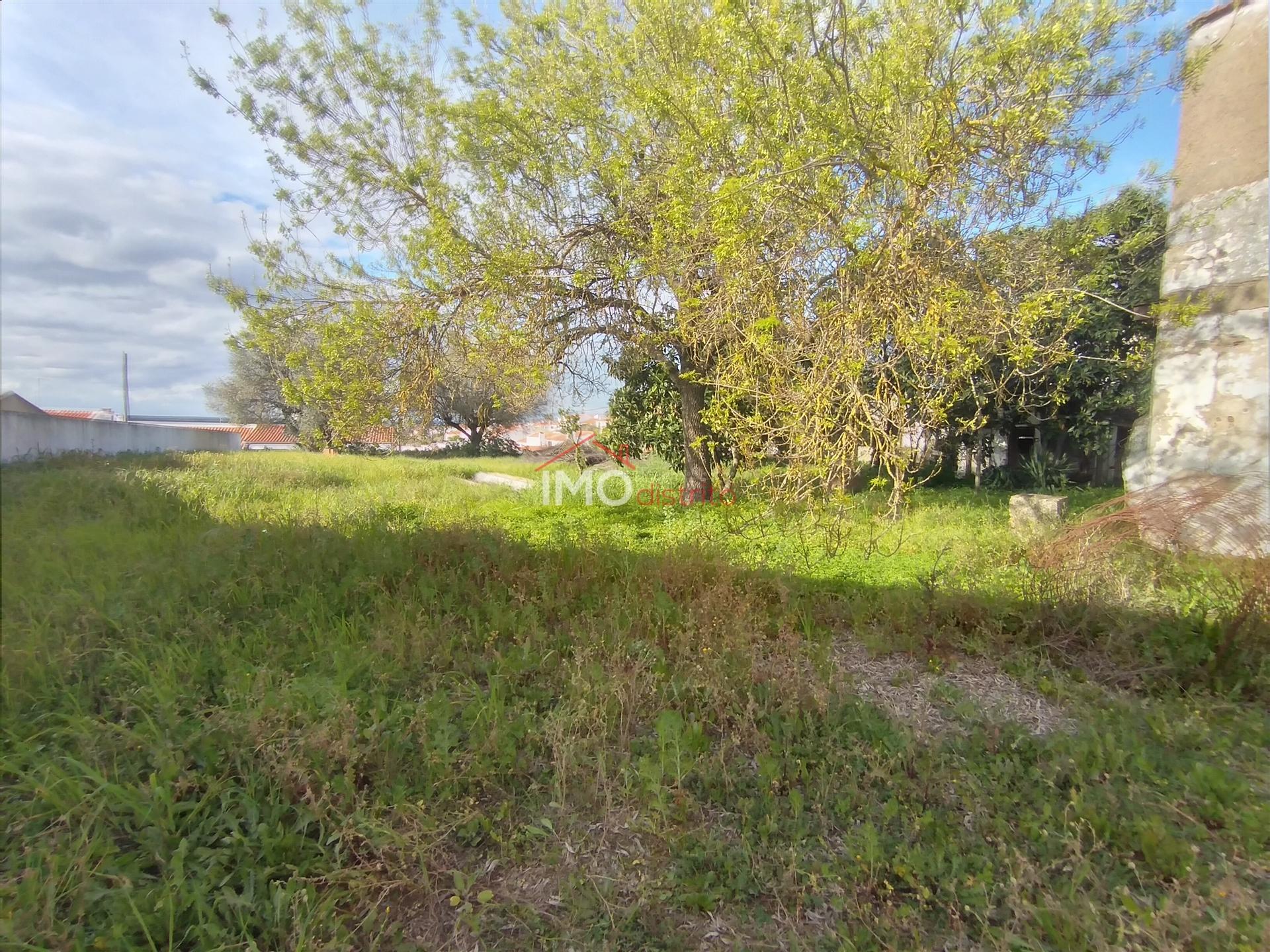 Moradia T5 Venda em Fronteira,Fronteira