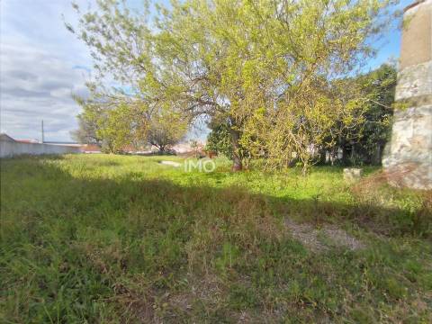 Moradia T5 Venda em Fronteira,Fronteira