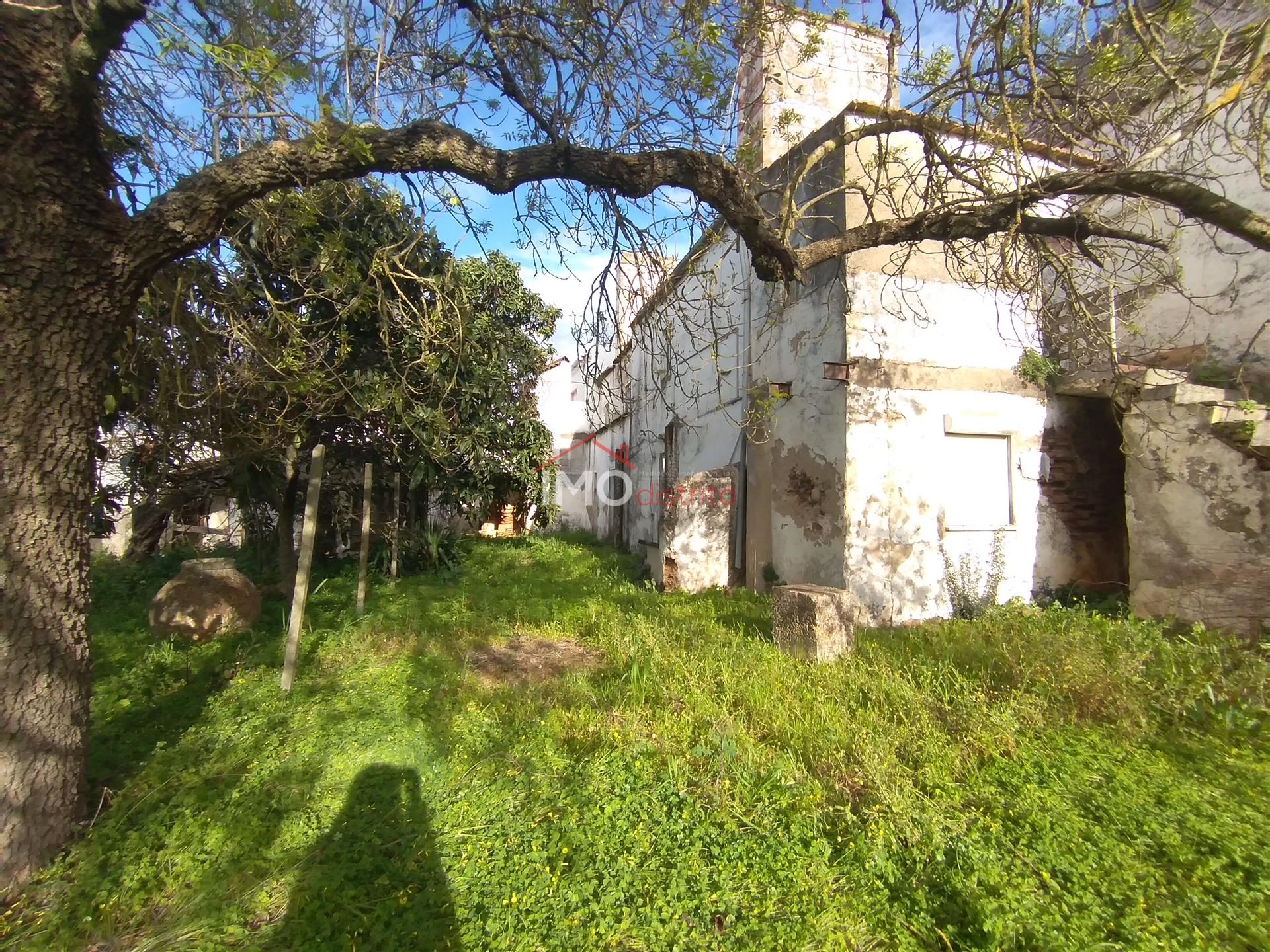 Moradia T5 Venda em Fronteira,Fronteira