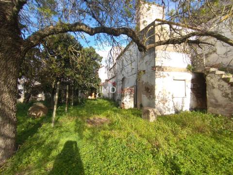 Moradia T5 Venda em Fronteira,Fronteira