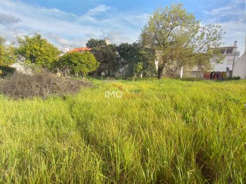Moradia T5 Venda em Fronteira,Fronteira