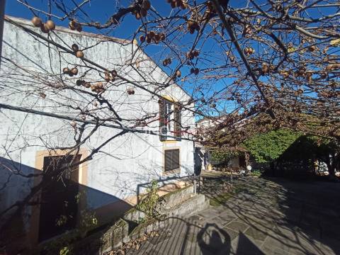 Moradia Isolada T3+2 Venda em São João Baptista,Castelo de Vide