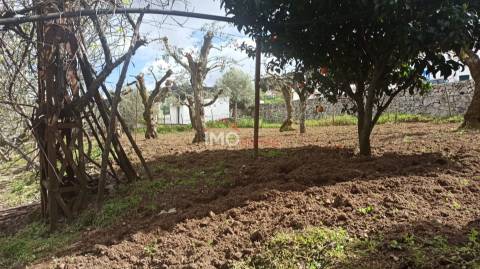 Moradia Isolada T3+2 Venda em São João Baptista,Castelo de Vide