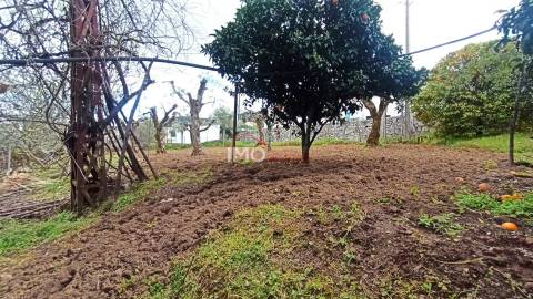 Moradia Isolada T3+2 Venda em São João Baptista,Castelo de Vide
