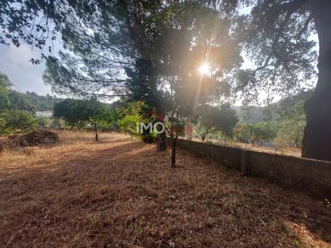Moradia T2 Venda em Ribeira de Nisa e Carreiras,Portalegre