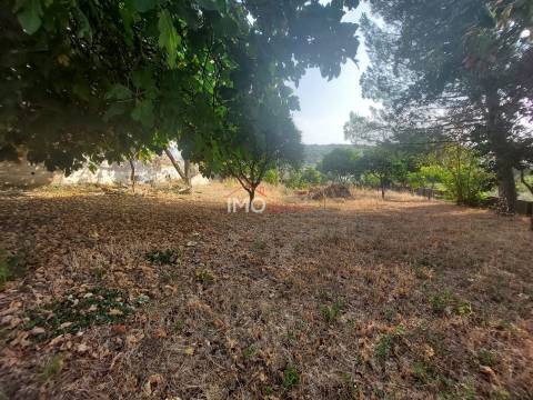 Moradia T2 Venda em Ribeira de Nisa e Carreiras,Portalegre