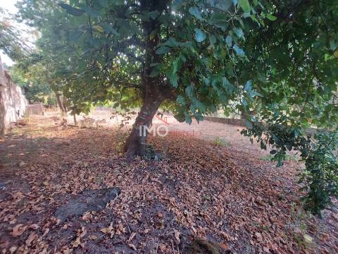 Moradia T2 Venda em Ribeira de Nisa e Carreiras,Portalegre