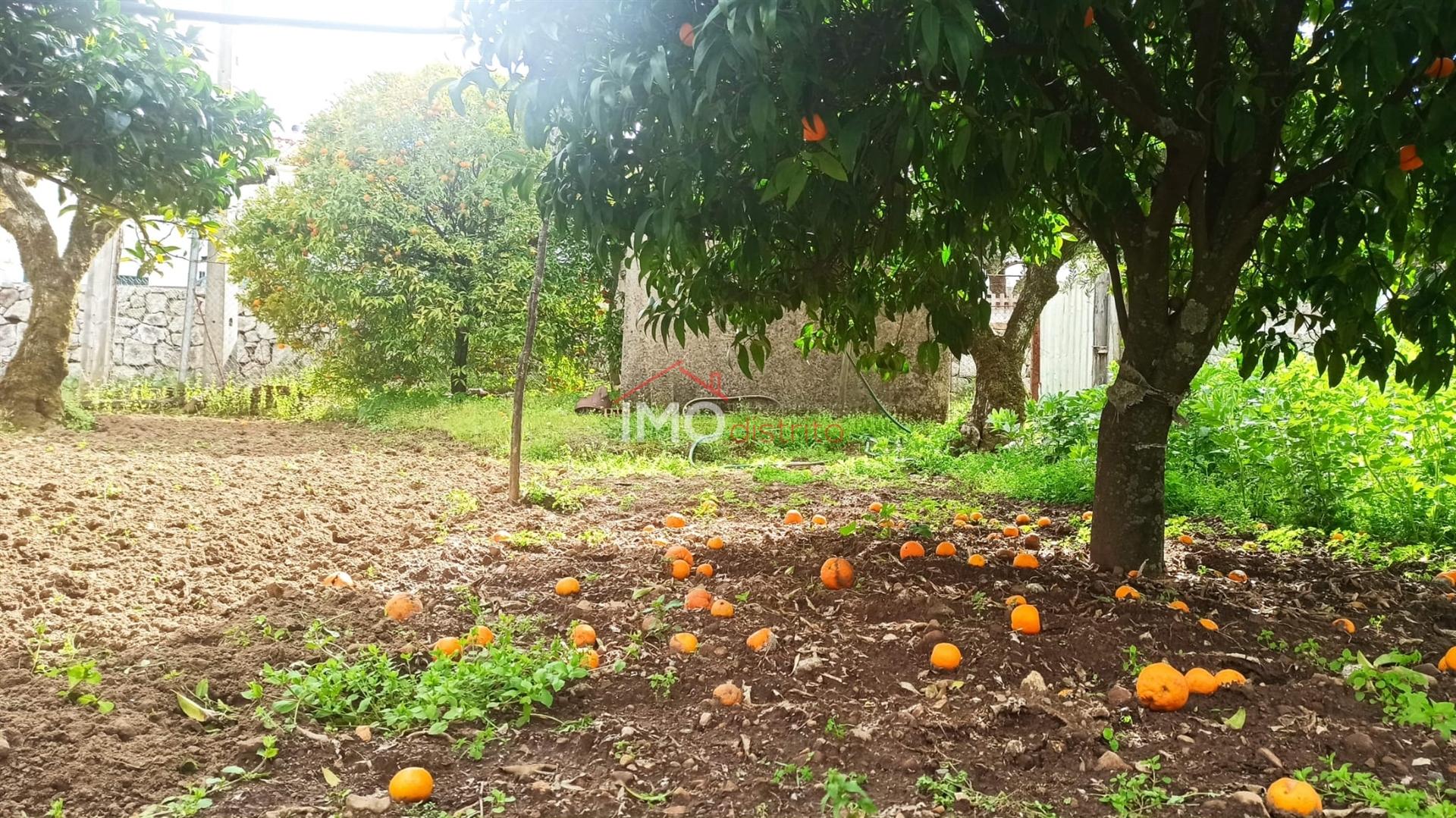 Moradia Isolada T3 Venda em São João Baptista,Castelo de Vide