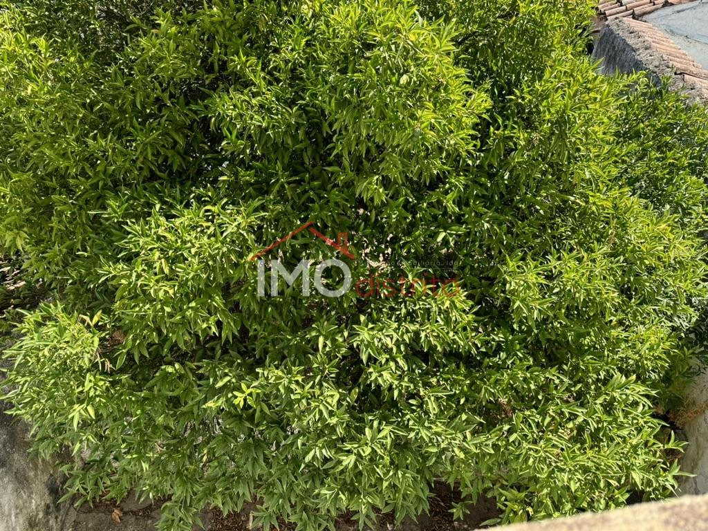 Apartamento T4+2 Venda em Alpalhão,Nisa