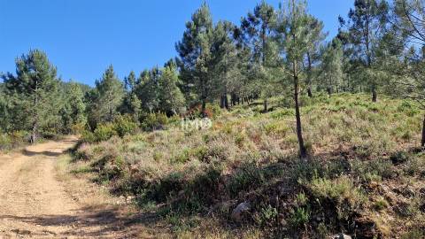 Terreno  Venda em São Salvador da Aramenha,Marvão