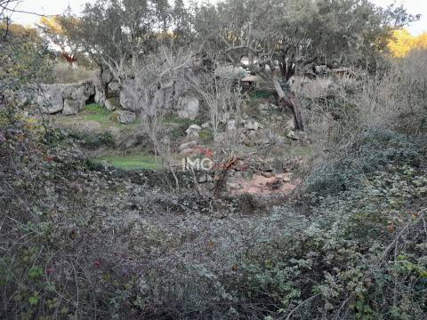 Terreno Rústico  Venda em Santa Maria de Marvão,Marvão