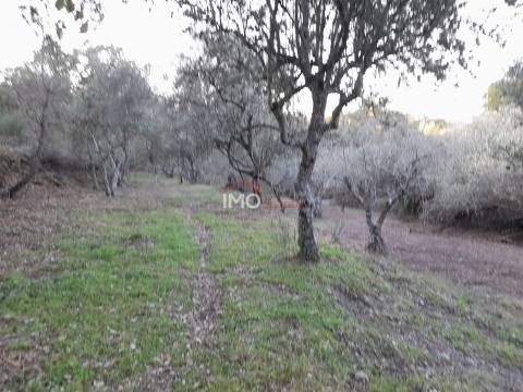 Terreno Rústico  Venda em Santa Maria de Marvão,Marvão