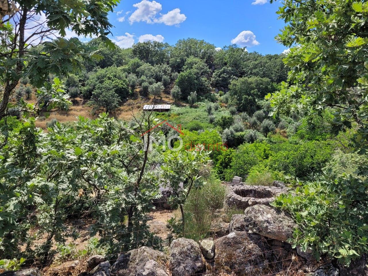 Quinta T3 Venda em Santa Maria da Devesa,Castelo de Vide