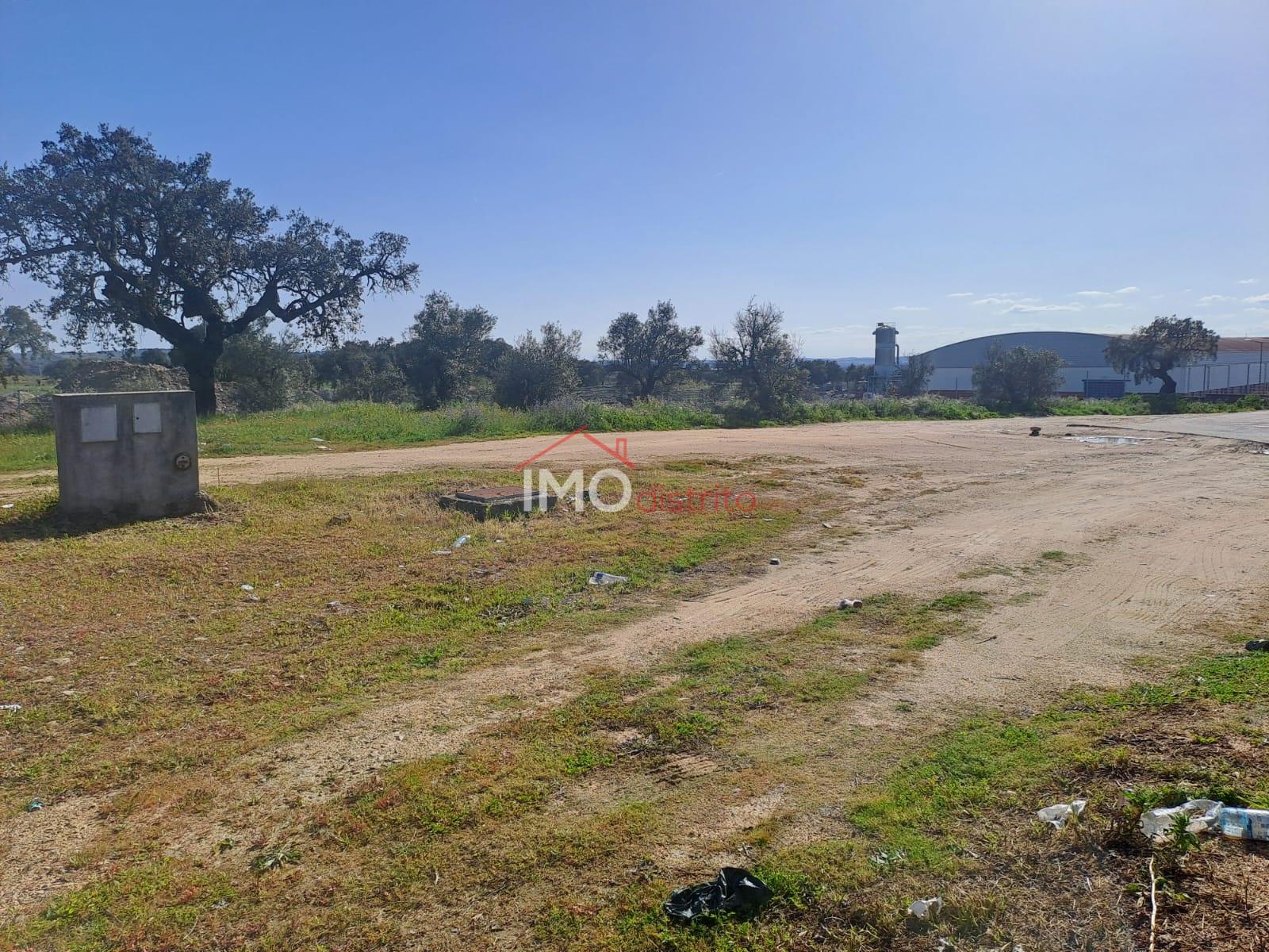 Terreno Para Construção  Venda em Sé e São Lourenço,Portalegre