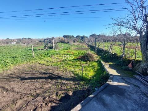 Terreno Rústico  Venda em Nossa Senhora da Graça de Póvoa e Meadas,Castelo de Vide