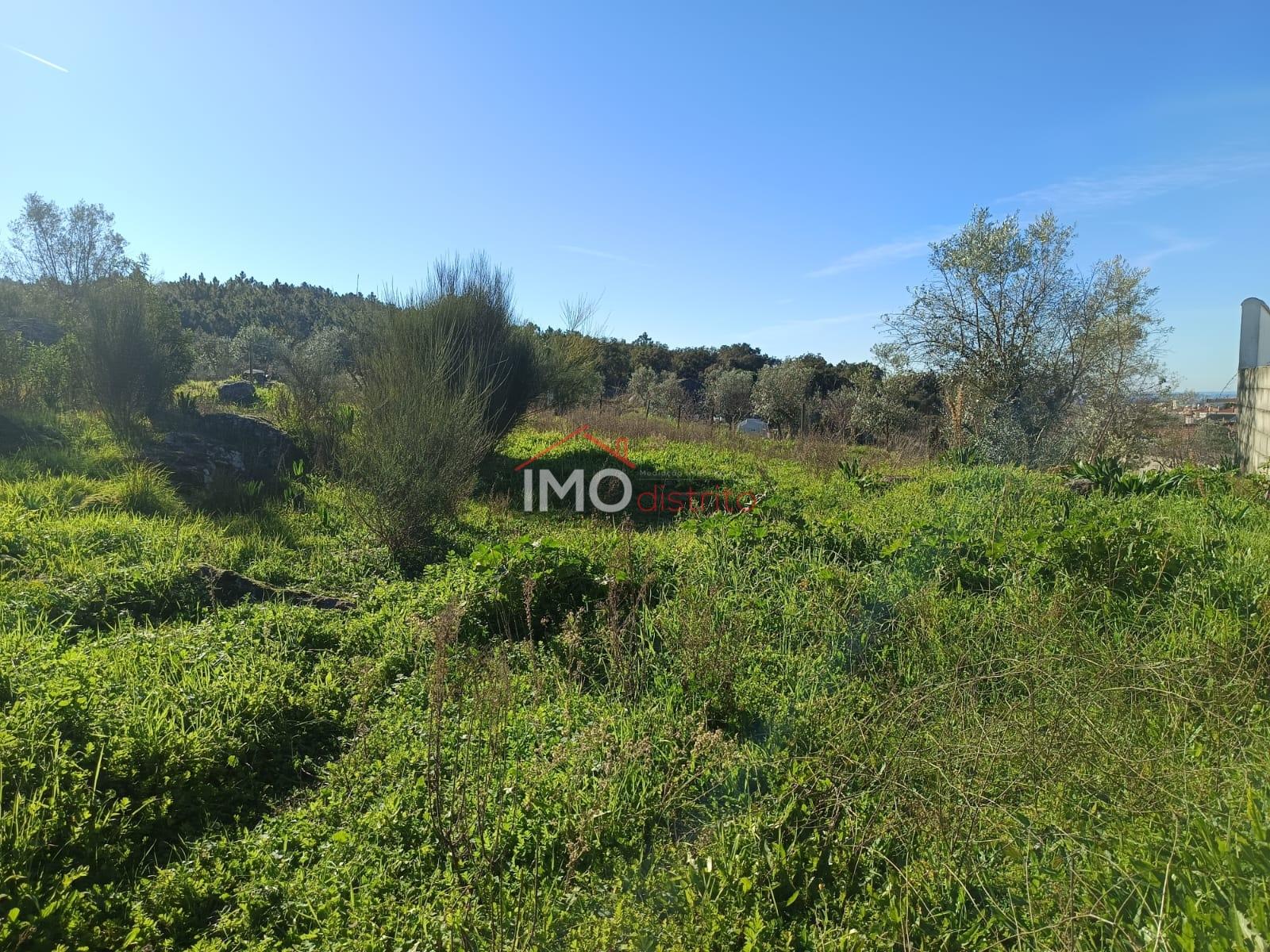 Lote de Terreno  Venda em Fortios,Portalegre