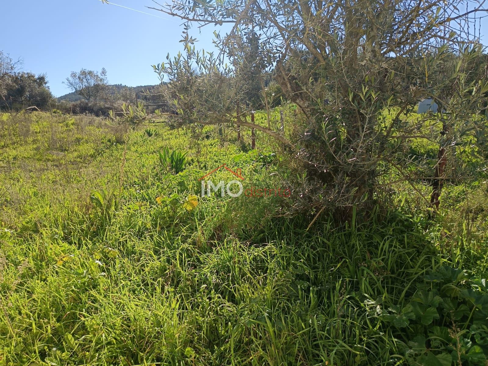 Lote de Terreno  Venda em Fortios,Portalegre