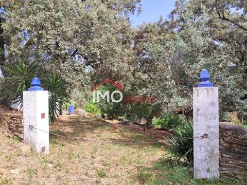Moradia T4 Venda em Reguengo e São Julião,Portalegre