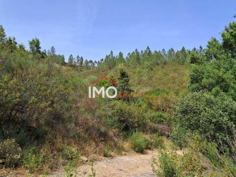 Moradia T4 Venda em Reguengo e São Julião,Portalegre