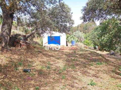 Moradia T4 Venda em Reguengo e São Julião,Portalegre
