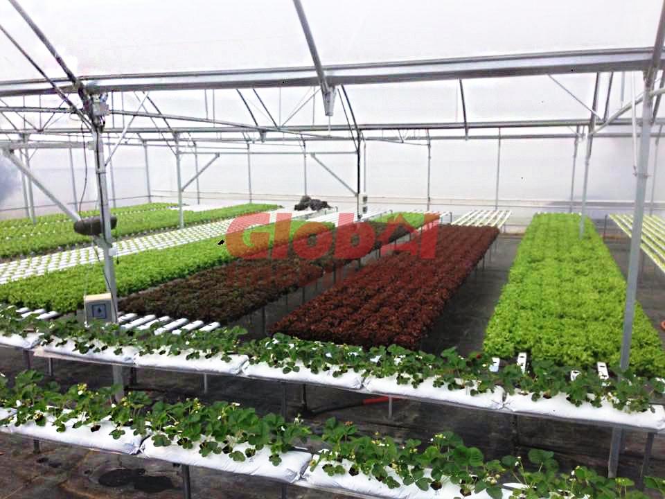 Quinta  Venda em Quintela de Azurara,Mangualde