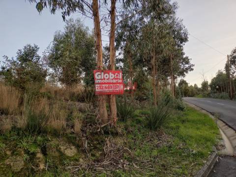 Terreno Rústico  Venda em Queirã,Vouzela