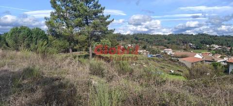 Terreno Para Construção  Venda em São João de Lourosa,Viseu