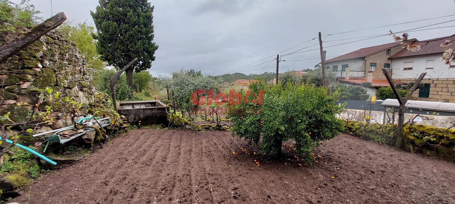 Terreno  Venda em Bodiosa,Viseu