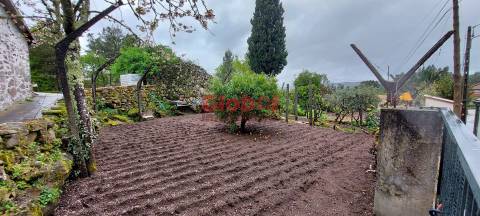 Terreno  Venda em Bodiosa,Viseu