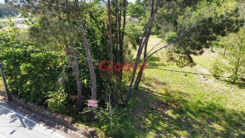 Lote de Terreno  Venda em Ribafeita,Viseu