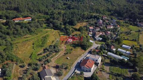 Quinta  Venda em São Pedro de France,Viseu