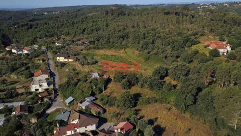 Quinta  Venda em São Pedro de France,Viseu