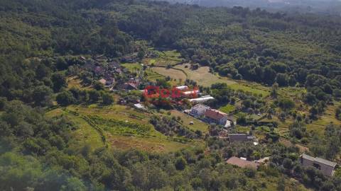Quinta  Venda em São Pedro de France,Viseu