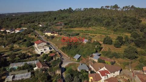 Quinta  Venda em São Pedro de France,Viseu